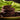 Stack of  mint chocolate cookies on a green plate with a green cloth in the background