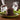 Stack of chocolate cookies on a green plate with two bags of cookies in the background.